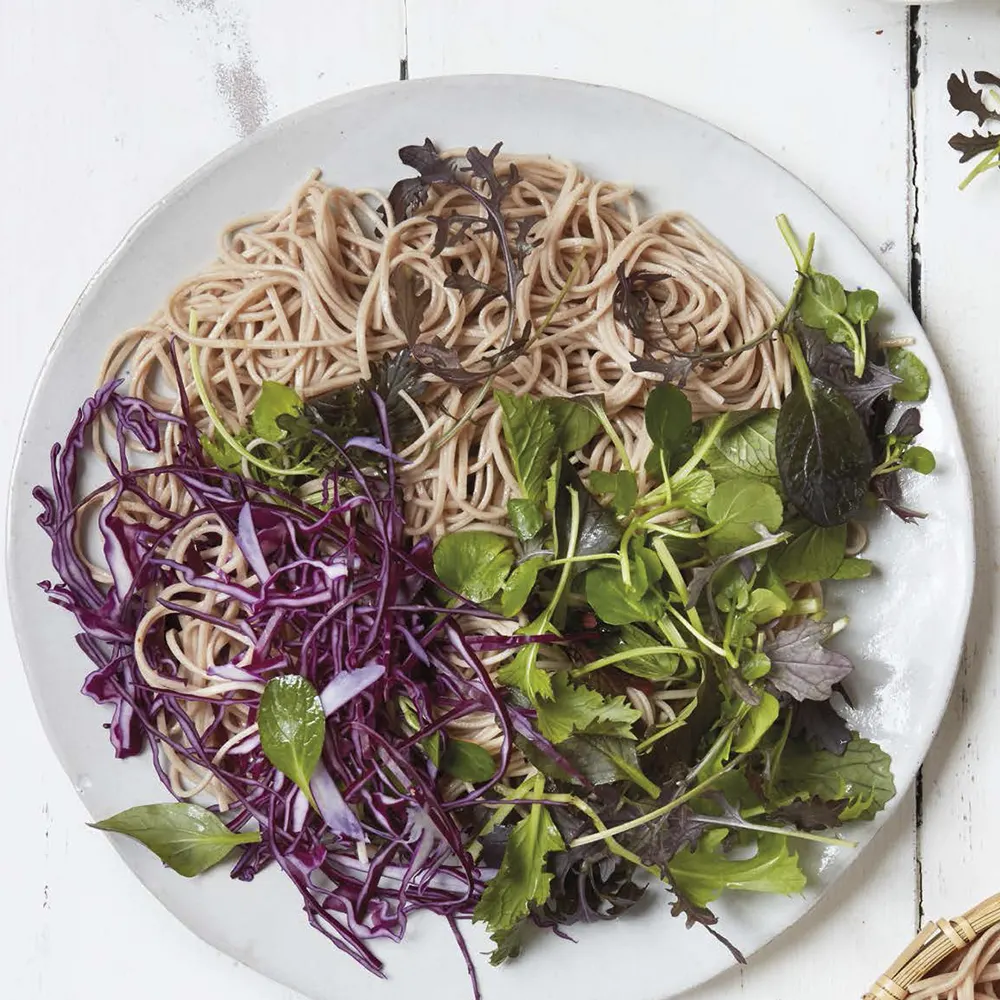 SALADE_SOBA_SAUCE_MISO_CACAHUETE