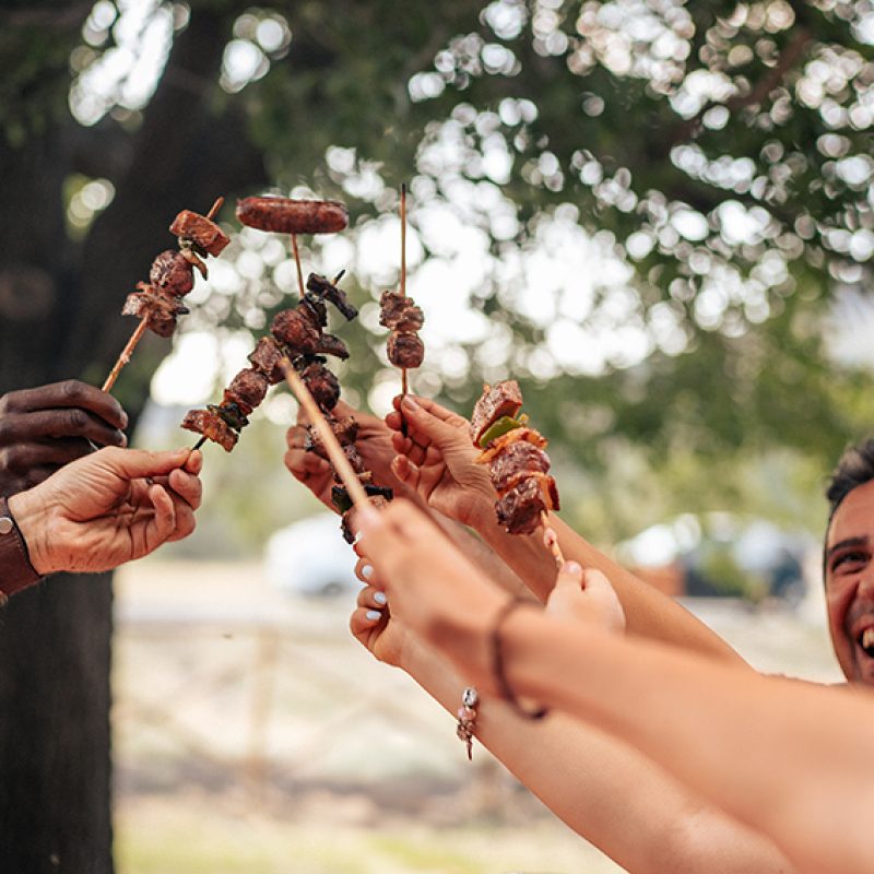 Group of friends toasting grilled meat skewers during outdoor summer barbecue picnic. Happy people celebrating togetherness, food and friendship in nature.